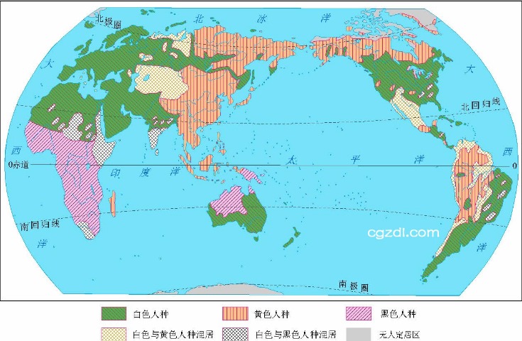 掘金与火箭,激战,独家探秘,世界杯比分,2026世界杯,实时比分,足球赛事,比赛分析